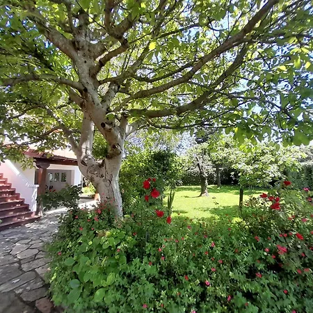 Casa De Pueblo En Pedrena, Cantabria 페드레냐